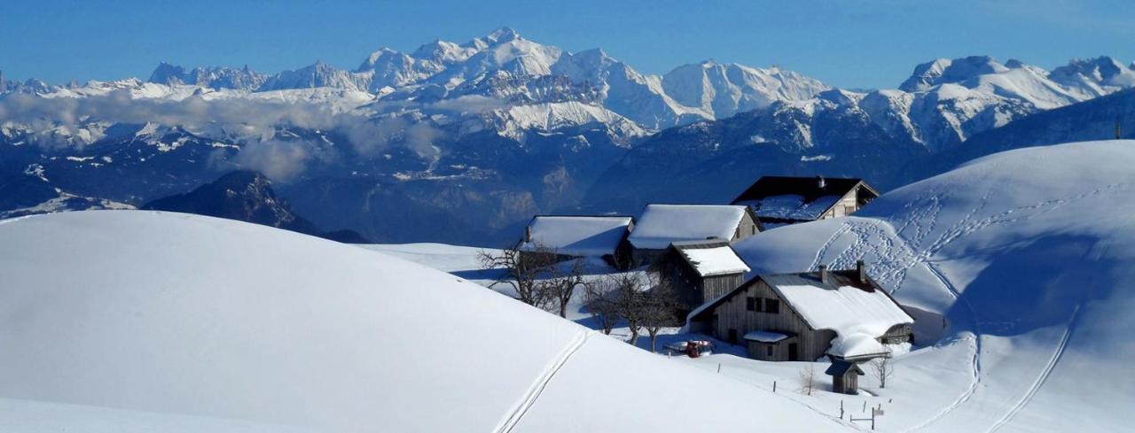 Les Chalets De Ludran Viuz-en-Sallaz ภายนอก รูปภาพ