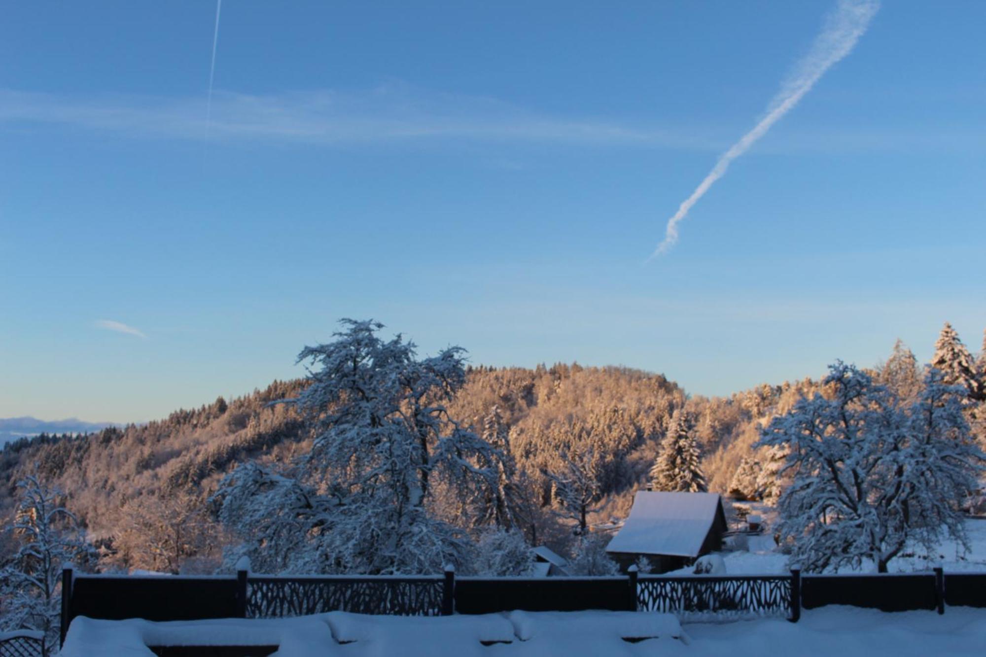Les Chalets De Ludran Viuz-en-Sallaz ภายนอก รูปภาพ
