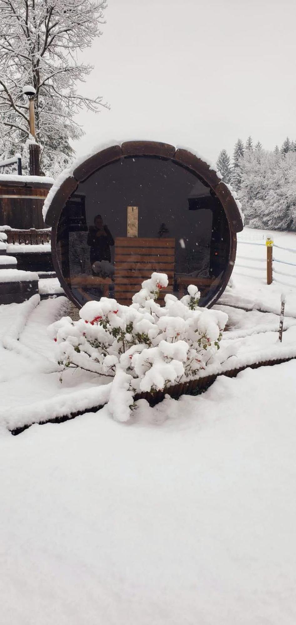 Les Chalets De Ludran Viuz-en-Sallaz ภายนอก รูปภาพ